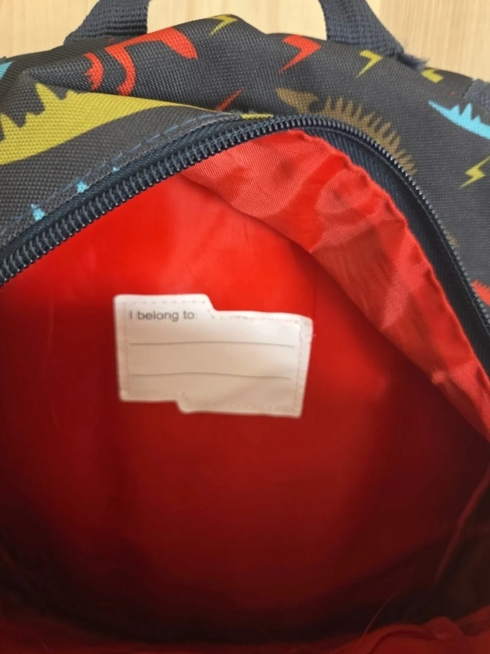 Kids Dinosaur Print Backpack - Multicolor
